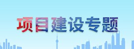 项目建设专题